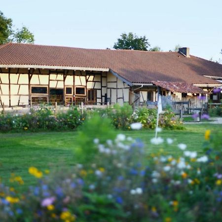 Domaine Des Brouilles Bed & Breakfast Malafretaz ภายนอก รูปภาพ